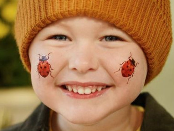 Insects