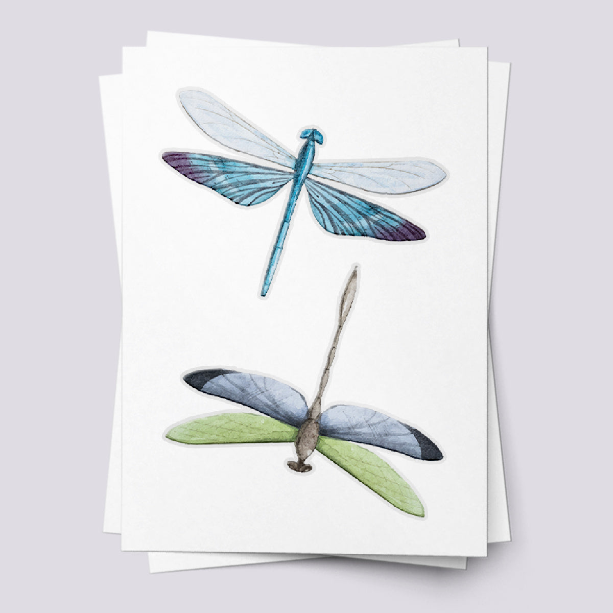 Dragonfly