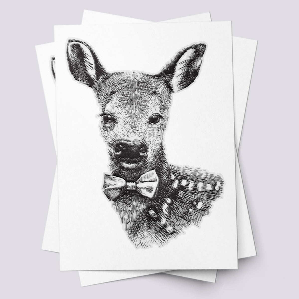 Baby deer