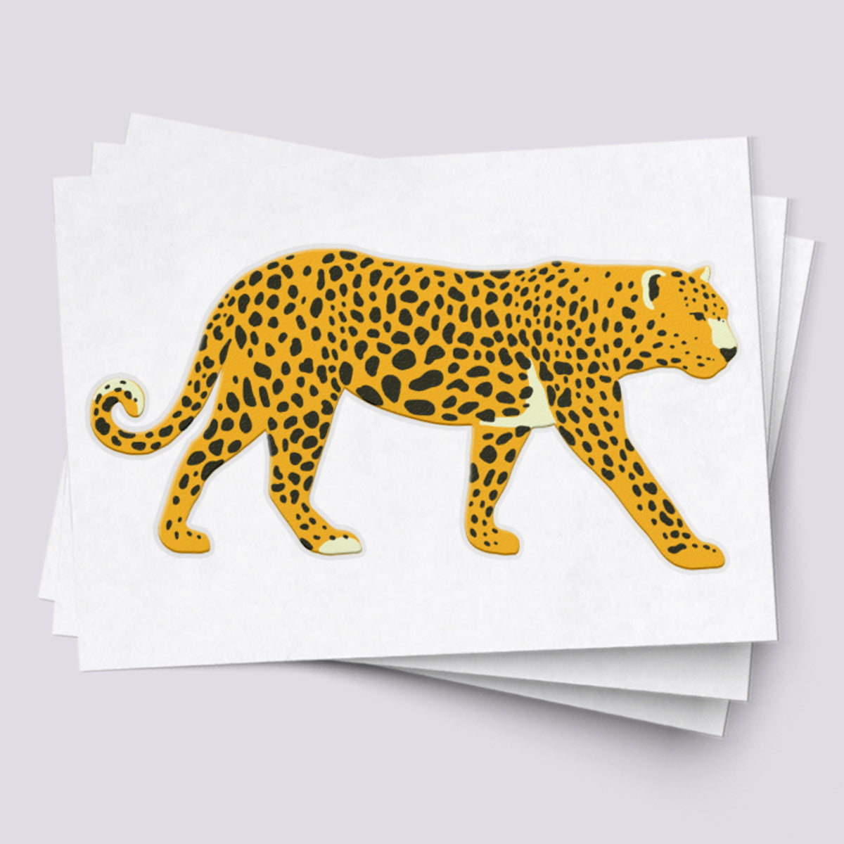 Cheetah