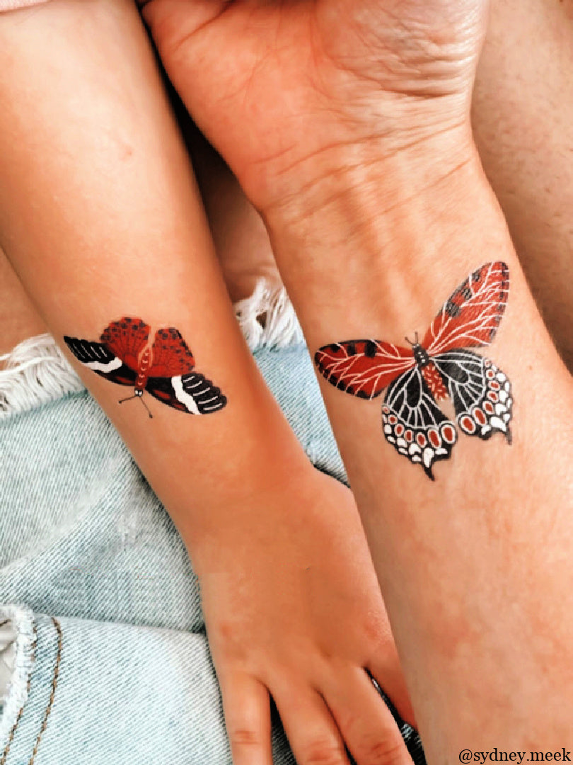 USA Butterflies