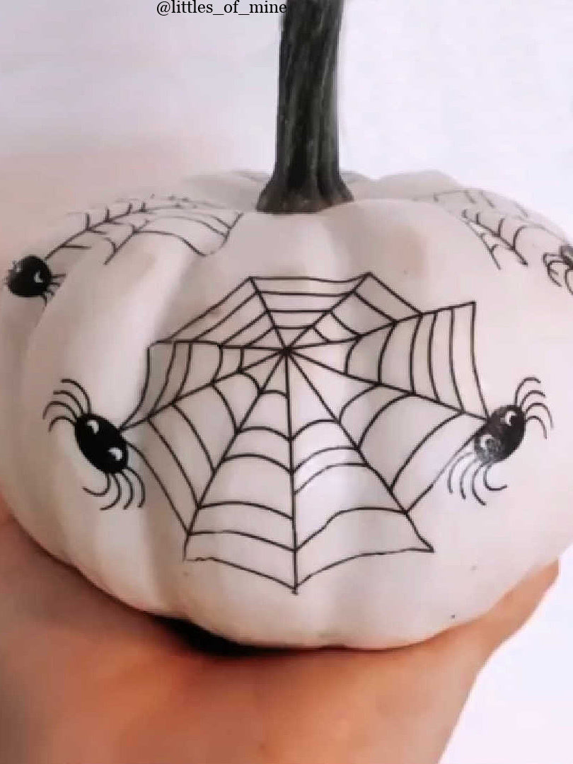 Spider Web