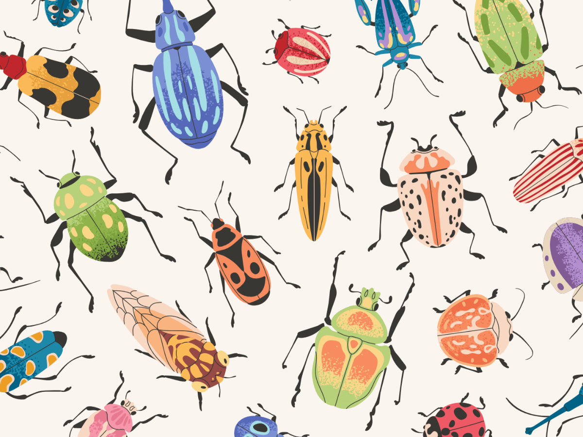Bug Party