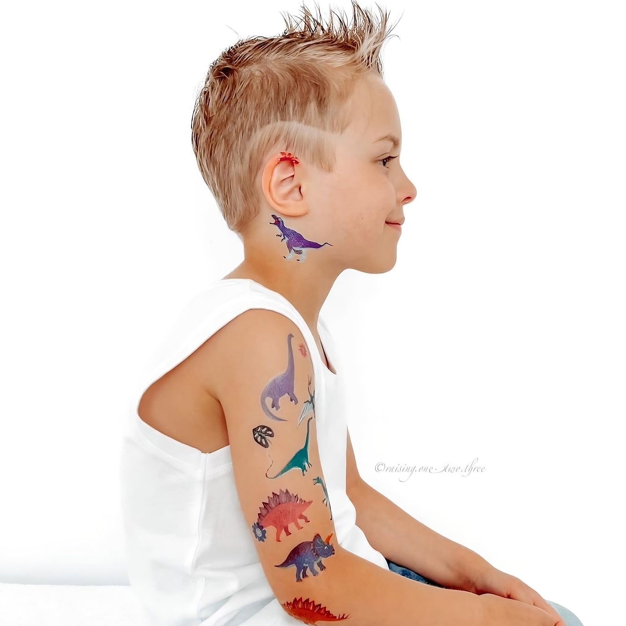 Dinosaurs temporary tattoo set