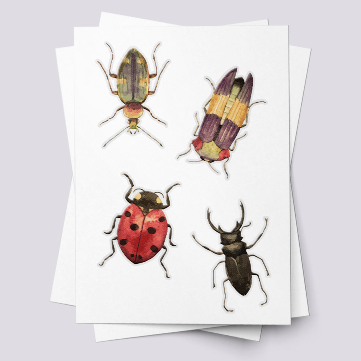 Beetles