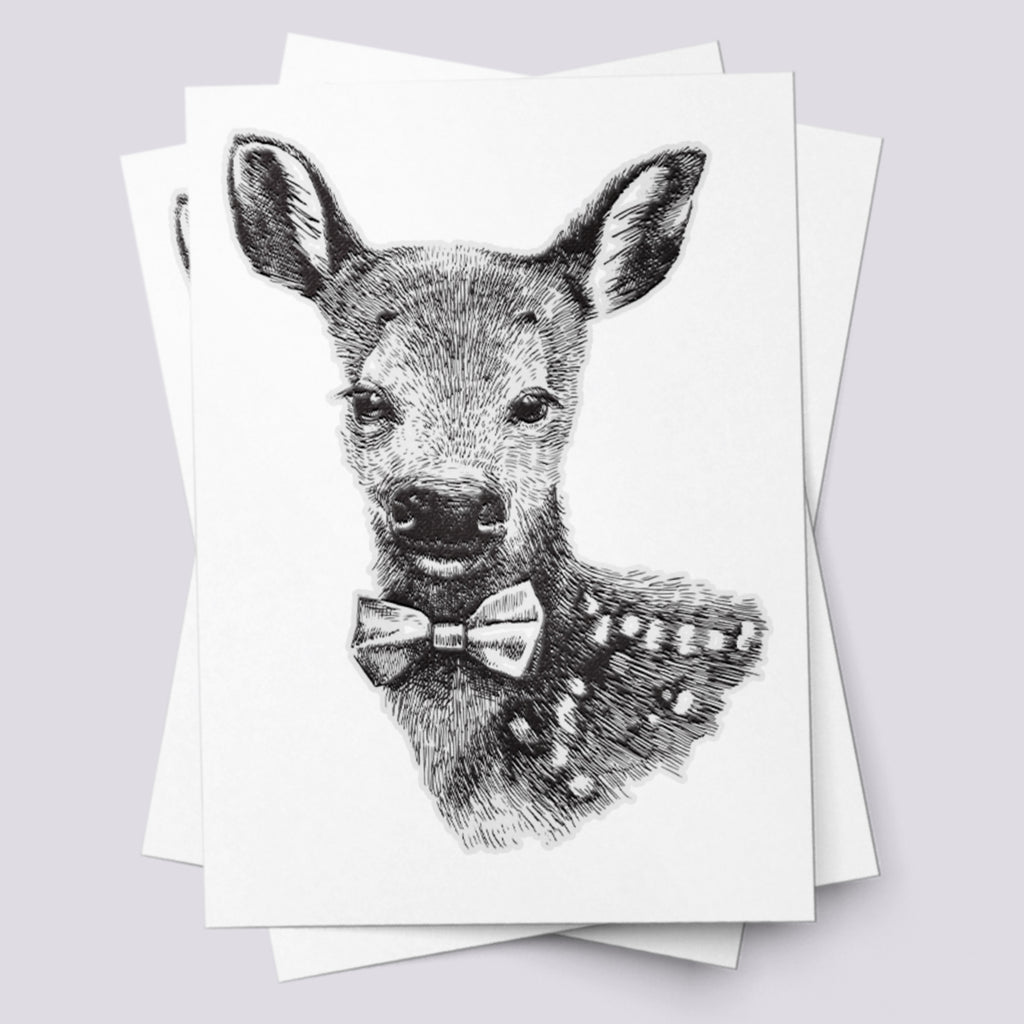 Baby deer