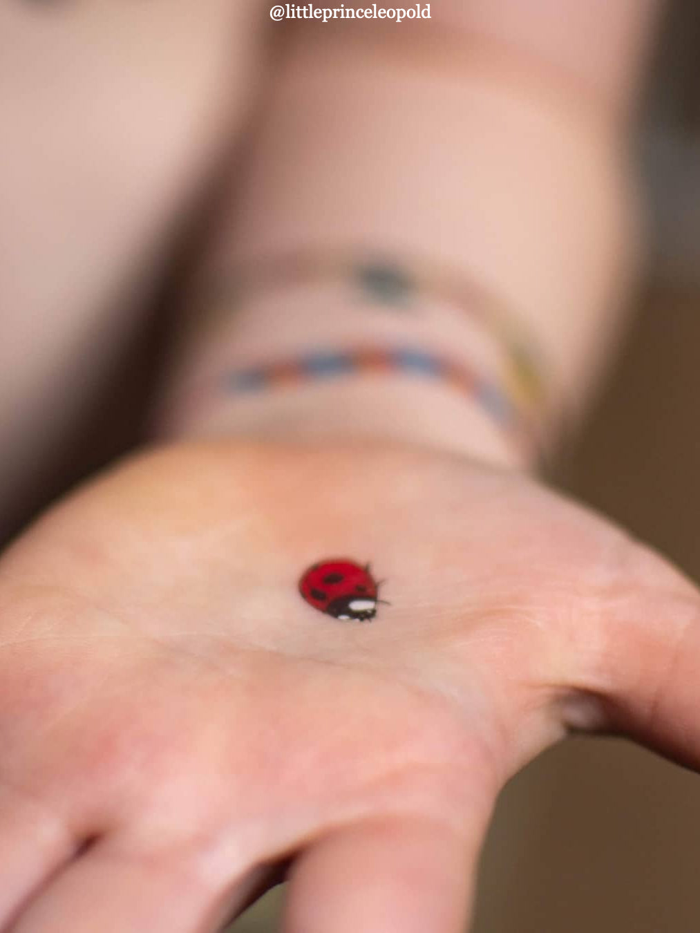 Ladybird tattoo by henighan on DeviantArt